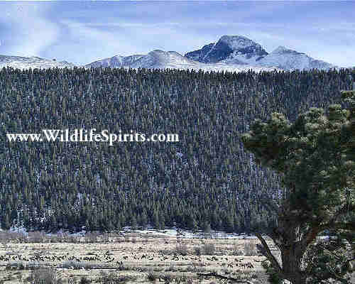 Click Picture to send as an  E-PostCard 27k 500x400